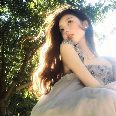 我的朋友是萌鲨